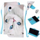 Colored Drawing Pattern Cross Texture Horizontal Flip PU Leather Case with Holder & Card Slots & Wallet For iPhone XR(Blue Eye Cat) - 1