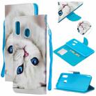 For Samsung Galaxy A20 / A30 Colored Drawing Pattern Cross Texture Horizontal Flip PU Leather Case with Holder & Card Slots & Wallet(Blue Eye Cat) - 1