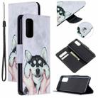 For Samsung Galaxy S20 Colored Drawing Pattern Cross Texture Horizontal Flip PU Leather Case with Holder & Card Slots & Wallet(Husky) - 1