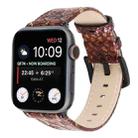 Snakeskin Leather Replacement Watch Band For Apple Watch Series 8&7 41mm / SE 2&6&SE&5&4 40mm / 3&2&1 38mm(Brown) - 1