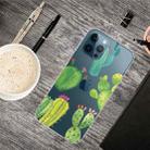 For iPhone 13 Pro Painted Pattern High Transparent TPU Protective Case (Cactus) - 1