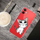 For iPhone 13 mini Painted Pattern High Transparent TPU Protective Case (Tilted Head Cat) - 1