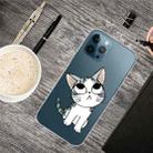 For iPhone 13 Pro Painted Pattern High Transparent TPU Protective Case (Tilted Head Cat) - 1