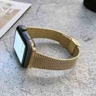 Small Waist Steel Watch Band For Apple Watch Series 9&8&7 41mm / SE 3&SE 2&6&SE&5&4 40mm / 3&2&1 38mm(Gold) - 1