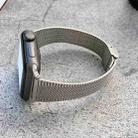 Small Waist Steel Watch Band For Apple Watch Series 9&8&7 41mm / SE 3&SE 2&6&SE&5&4 40mm / 3&2&1 38mm(Silver) - 1