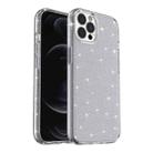 For iPhone 13 Pro Max Shockproof Terminator Style Glitter Powder Protective Case (Grey) - 1