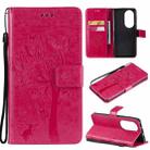 For Huawei P50 Pro Tree & Cat Pattern Pressed Printing Horizontal Flip PU Leather Case with Holder & Card Slots & Wallet & Lanyard(Rose Red) - 1