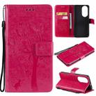 For Huawei P50 Tree & Cat Pattern Pressed Printing Horizontal Flip PU Leather Case with Holder & Card Slots & Wallet & Lanyard(Rose Red) - 1