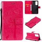 For OPPO Reno6 Pro+ 5G Tree & Cat Pattern Pressed Printing Horizontal Flip PU Leather Case with Holder & Card Slots & Wallet & Lanyard(Rose Red) - 1