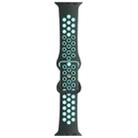 Butterfly Buckle Dual-tone Liquid Silicone Watch Band For Apple Watch Ultra 49mm / Series 8&7 45mm / SE 2&6&SE&5&4 44mm / 3&2&1 42mm(Grey+Teal) - 1