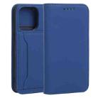 For iPhone 13 Pro Strong Magnetism Shockproof Horizontal Flip Liquid Feel Leather Case with Holder & Card Slots & Wallet (Blue) - 1