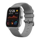 Original Xiaomi Youpin Amazfit GTS 1.65 inch AMOLED Screen Bluetooth 5.0 5ATM Waterproof Smart Watch, Support 12 Sport Modes / Heart Rate Monitoring / NFC Analog Door Card / GPS Positioning(Dolphin Grey) - 1