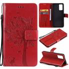 For vivo V21 Tree & Cat Embossing Pattern Horizontal Flip PU Leather Case with Holder & Card Slots & Wallet & Lanyard(Red) - 1