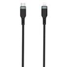 WIWU PT04 USB-C / Type-C to 8 Pin Platinum Data Cable, Cable Length:0.3m(Black) - 1