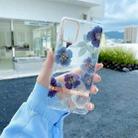 For Samsung Galaxy S20 High Translucent Electroplating Flower Pattern TPU + PC Shockproof Case(Cineraria) - 1