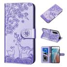 For Sony Xperia 5 II Sika Deer Embossing Pattern Horizontal Flip PU Leather Case with Holder & Card Slot & Wallet & Photo Frame(Purple) - 1