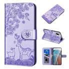 For Xiaomi Mi 11 Lite Sika Deer Embossing Pattern Horizontal Flip PU Leather Case with Holder & Card Slot & Wallet & Photo Frame(Purple) - 1