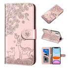 For iPhone 11 Sika Deer Embossing Pattern Horizontal Flip PU Leather Case with Holder & Card Slot & Wallet & Photo Frame (Rose Gold) - 1