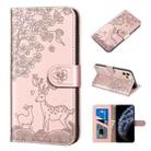 For iPhone 11 Pro Sika Deer Embossing Pattern Horizontal Flip PU Leather Case with Holder & Card Slot & Wallet & Photo Frame (Rose Gold) - 1