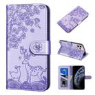For iPhone 11 Pro Sika Deer Embossing Pattern Horizontal Flip PU Leather Case with Holder & Card Slot & Wallet & Photo Frame (Purple) - 1