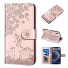 For iPhone 12 mini Sika Deer Embossing Pattern Horizontal Flip PU Leather Case with Holder & Card Slot & Wallet & Photo Frame (Rose Gold) - 1