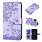 For iPhone 12 Pro Max Sika Deer Embossing Pattern Horizontal Flip PU Leather Case with Holder & Card Slot & Wallet & Photo Frame(Purple) - 1