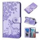 For iPhone X / XS Sika Deer Embossing Pattern Horizontal Flip PU Leather Case with Holder & Card Slot & Wallet & Photo Frame(Purple) - 1