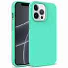For iPhone 13 mini Starry Series Shockproof Straw Material + TPU Protective Case (Green) - 1