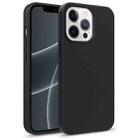 For iPhone 13 Starry Series Shockproof Straw Material + TPU Protective Case(Black) - 1