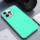 For iPhone 13 Starry Series Shockproof Straw Material + TPU Protective Case(Green) - 4