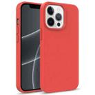 For iPhone 13 Pro Max Starry Series Shockproof Straw Material + TPU Protective Case (Red) - 1