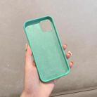 For iPhone 12 Herringbone Texture Silicone Protective Case(Light Green) - 3