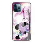 For iPhone 13 Pro Tempered Glass + TPU Border Protective Case (Panda) - 1