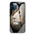 For iPhone 13 Pro Max Tempered Glass + TPU Border Protective Case (Lion) - 1