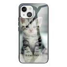 For iPhone 13 Colorful Painted Glass Shockproof Protective Case(Cute Cat) - 1