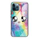 For iPhone 13 Pro Colorful Painted Glass Shockproof Protective Case (Big Eyes Animal) - 1