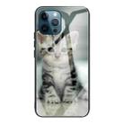 For iPhone 13 Pro Colorful Painted Glass Shockproof Protective Case (Cute Cat) - 1