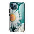 For iPhone 13 Pro Colorful Painted Glass Shockproof Protective Case (Chamomile) - 1