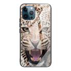For iPhone 13 Pro Colorful Painted Glass Shockproof Protective Case (Leopard) - 1