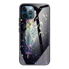 For iPhone 13 Pro Colorful Painted Glass Shockproof Protective Case (Feather) - 1