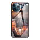 For iPhone 13 Pro Colorful Painted Glass Shockproof Protective Case (Lion) - 1