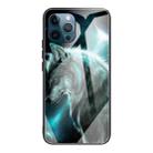 For iPhone 13 Pro Colorful Painted Glass Shockproof Protective Case (Wolf) - 1