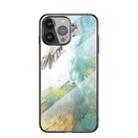 Marble Pattern Glass + TPU Protective Case For iPhone 13 Pro(Flying Pigeon) - 1