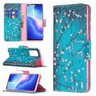 For OPPO Reno5 Pro Colored Drawing Pattern Horizontal Flip Leather Case with Holder & Card Slots & Wallet(Plum Blossom) - 1