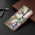 For OPPO Reno6 Colored Drawing Pattern Horizontal Flip Leather Case with Holder & Card Slots & Wallet(Tree Life) - 7