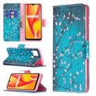 For OPPO Realme C15 / C12 / C25 Colored Drawing Pattern Horizontal Flip Leather Case with Holder & Card Slots & Wallet(Plum Blossom) - 1