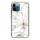 For iPhone 13 Pro Marble Tempered Glass Back Cover TPU Border Case (HCBL-13) - 1