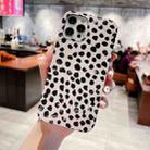 For iPhone 12 Pro Max Natural Scenery Pattern TPU Protective Case(Spots) - 1