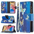 For iPhone 13 Pro Colored Drawing Pattern Zipper Horizontal Flip Leather Case with Holder & Card Slots & Wallet (Gold Butterfly) - 1