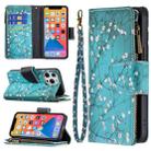 For iPhone 13 Pro Max Colored Drawing Pattern Zipper Horizontal Flip Leather Case with Holder & Card Slots & Wallet (Plum Blossom) - 1